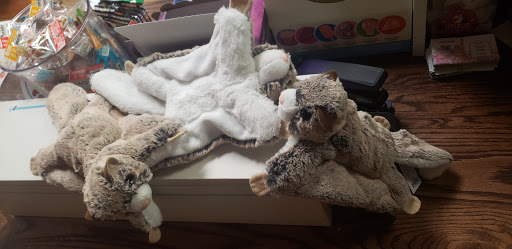 Toy Store «Ali Cat», reviews and photos, 200 N Greensboro St, Carrboro, NC 27510, USA