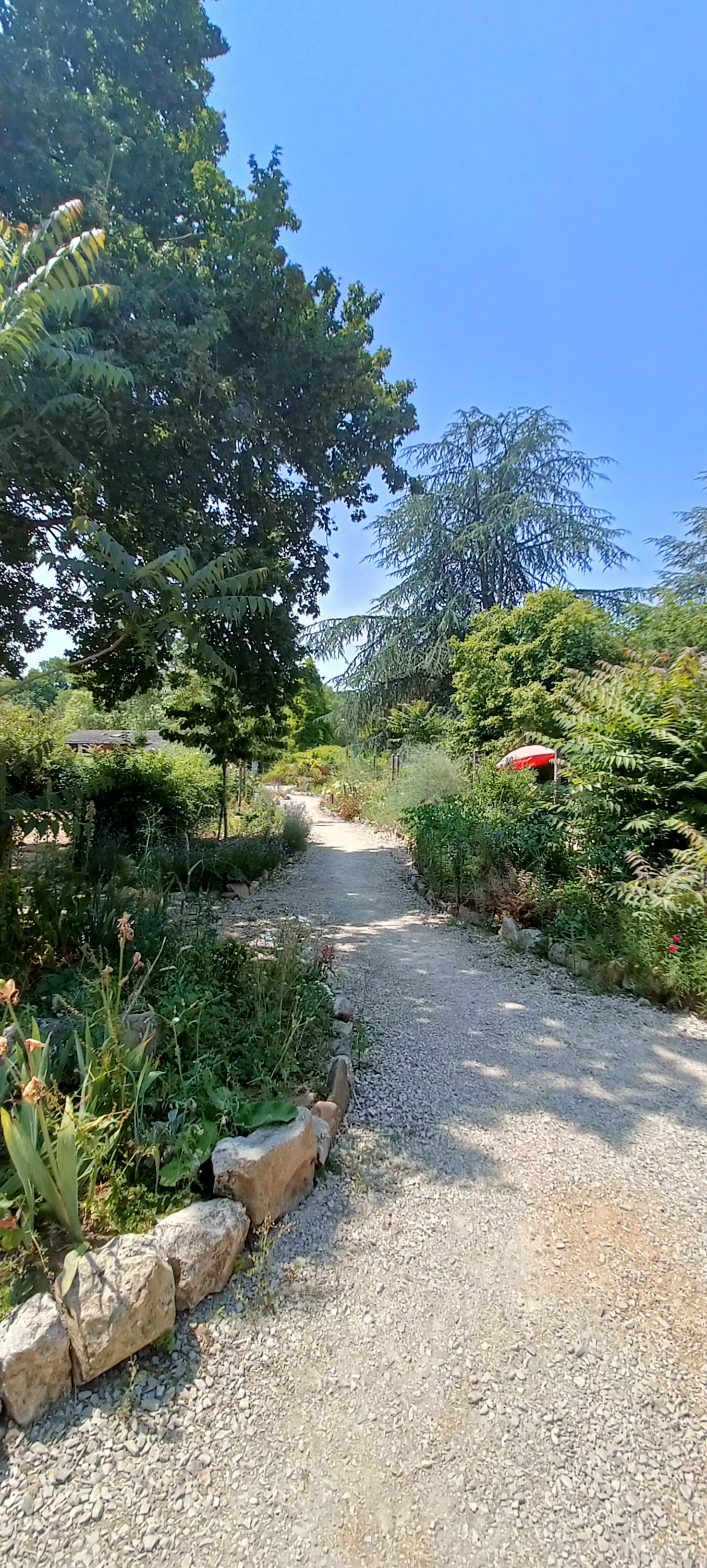 Photo n° 2 de l'avis de Ross.a fait le 15/06/2023 à 16:59