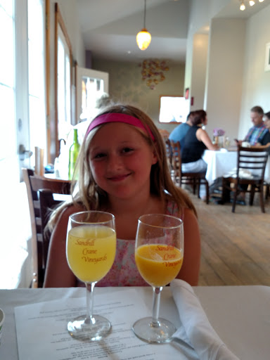 Vineyard «Sandhill Crane Vineyards», reviews and photos, 4724 Walz Rd, Jackson, MI 49201, USA