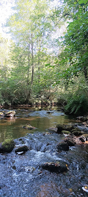 Pont de Manet à Saint-Pardoux-la-Rivière