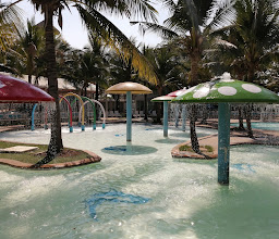 Playport photo