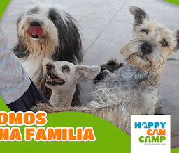 Can Happy Camp photo