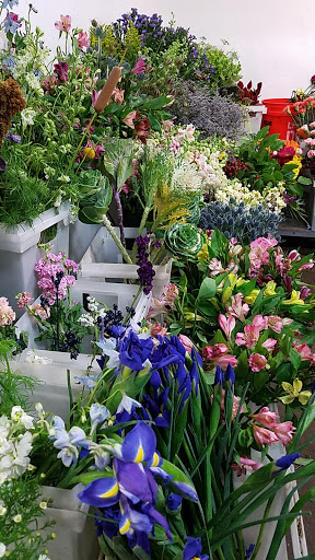 Florist «Swan Floral & Gift Shop», reviews and photos, 4311 Dixie Hwy, Erlanger, KY 41018, USA