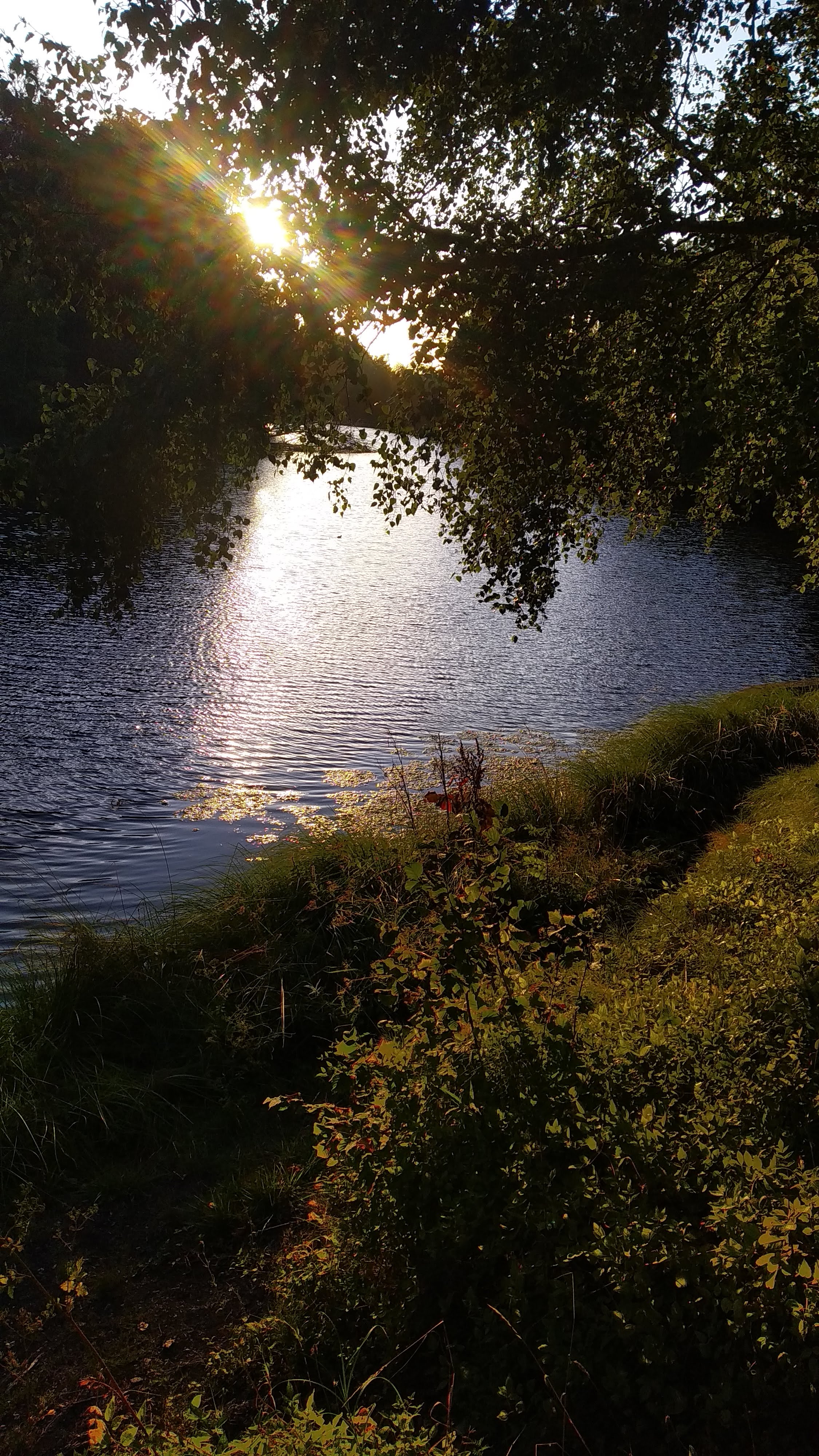 Photo n° 1 de l'avis de Philippe.a fait le 05/09/2019 à 14:39