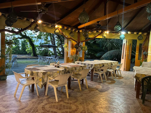 Dolphin Bay Resort & Peleliu Divers by null