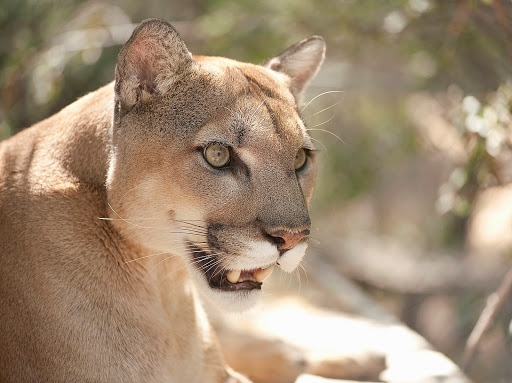 Conservation department Scottsdale