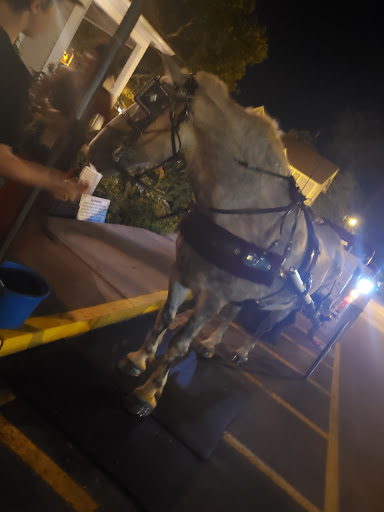 Bag Shop «J B Goods Inc», reviews and photos, 172 N Van Buren St, Nashville, IN 47448, USA