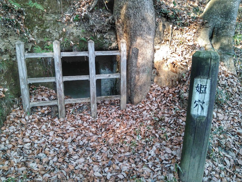 唐御所横穴 栃木県那珂川町和見 史跡 グルコミ