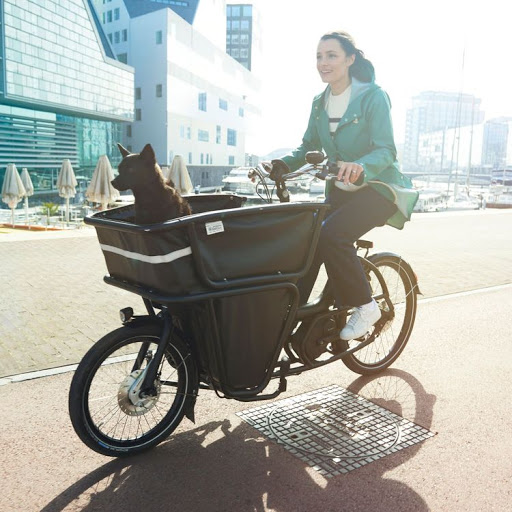 Motor Scooter Dealer «Electric Avenue Scooters», reviews and photos, 4616 Triangle Ave #403, Austin, TX 78751, USA