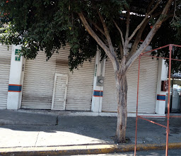 Tiendas Neto Vicente Guerrero photo