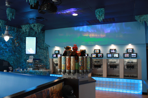 Frozen Yogurt Shop «Arctic Ape Wild Desserts», reviews and photos, 5221 Walzem Rd Suite 1, San Antonio, TX 78218, USA