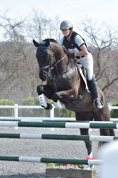 Winswept Stables