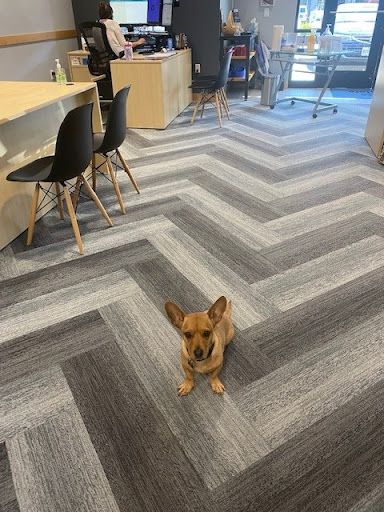 Insurance Agency «Allstate Insurance Agent: Heidi Doebel», reviews and photos