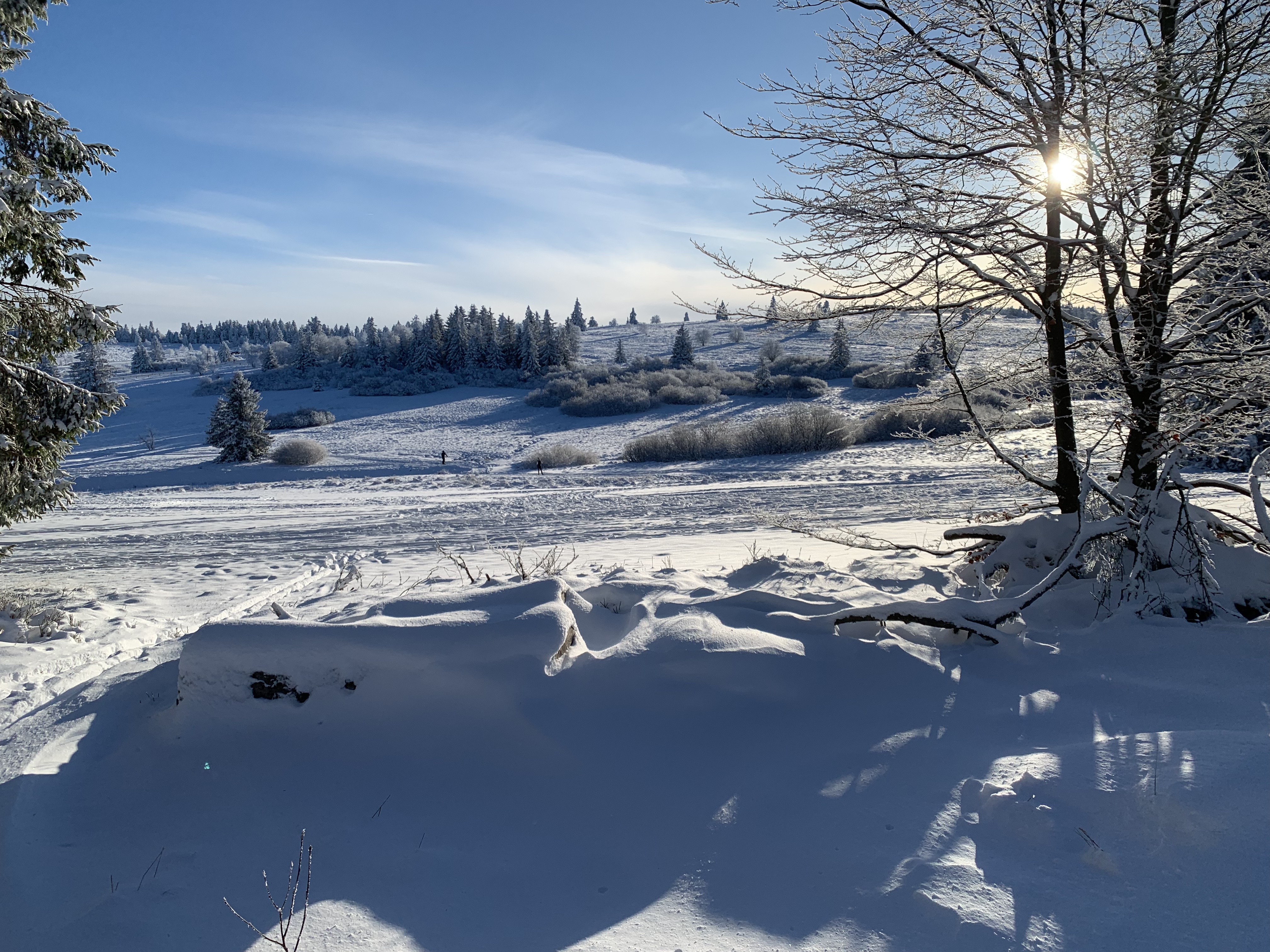 Photo n° 1 de l'avis de Maximin. fait le 27/01/2023 à 20:57
