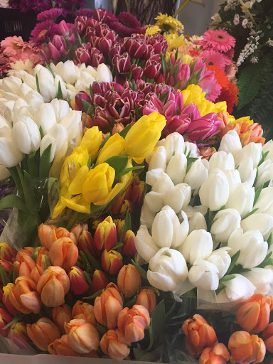 Florist «Exotica Florist», reviews and photos, 10376 Main Street, Fairfax, VA 22030, USA