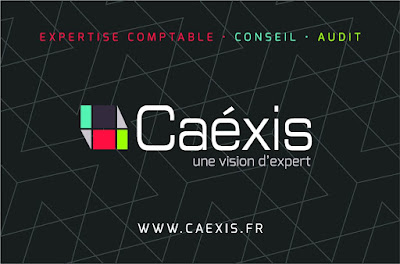 CAEXIS Angers à Écouflant