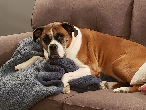 Art Supply Store «Blick Art Materials», reviews and photos, 201 S Clinton St #180, Iowa City, IA 52240, USA