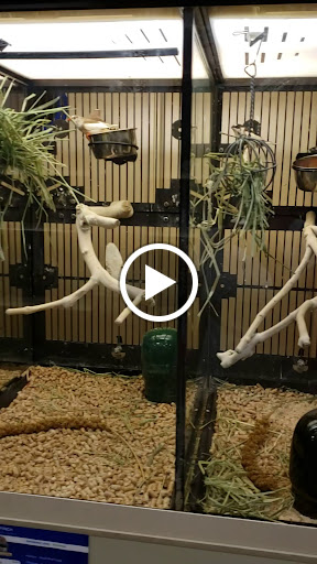 Pet Supply Store «PetSmart», reviews and photos, 350 Fifth St, Oswego, IL 60543, USA