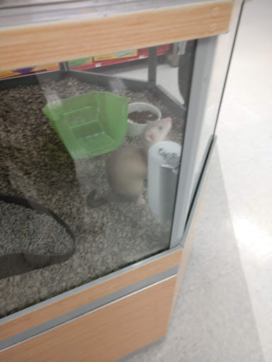 Pet Supply Store «Petco Animal Supplies», reviews and photos, 5027 Monroe St, Toledo, OH 43623, USA