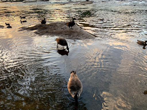 Park «Jones Bridge Park», reviews and photos, 4901 E Jones Bridge Rd, Peachtree Corners, GA 30092, USA