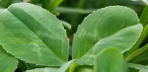 Park «Astoria Park», reviews and photos, 19 19th St, Queens, NY 11105, USA