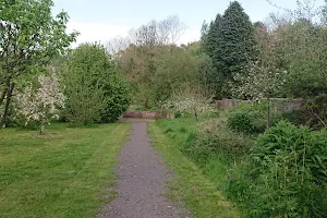 Bartlett Gardens - Madeley Community Orchard image