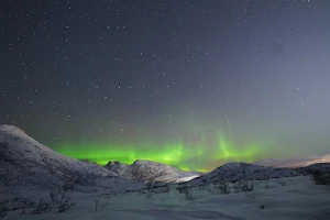Amazing Arctic Tours image