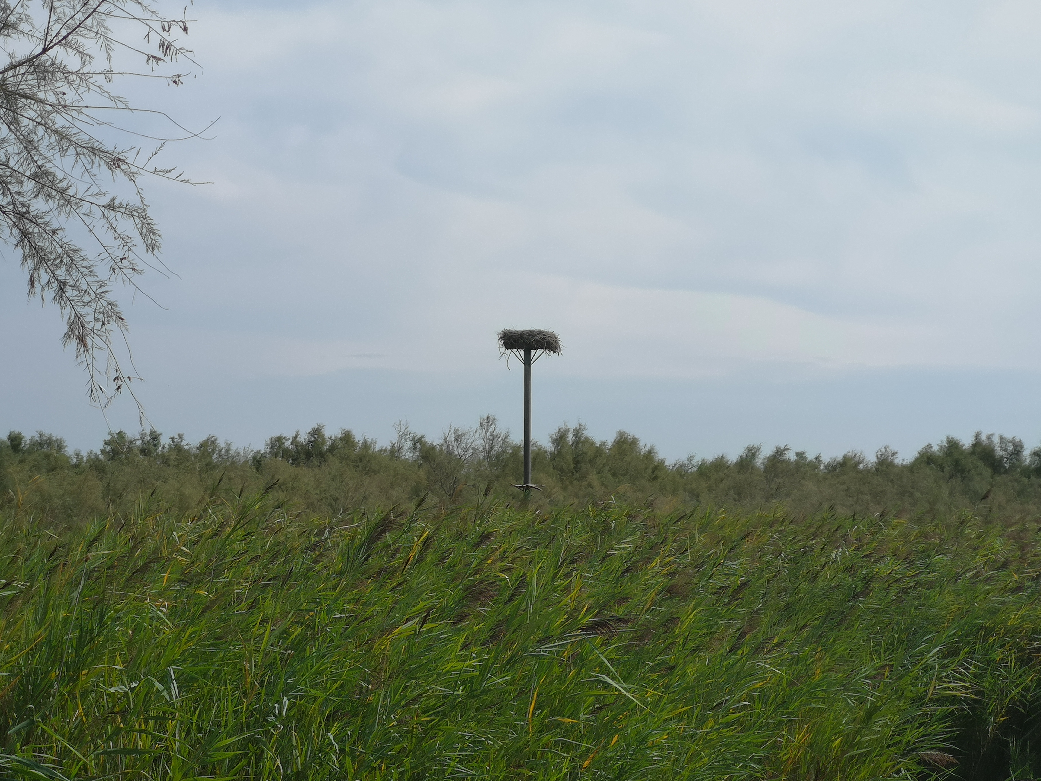 Photo n° 2 de l'avis de Thierry.u fait le 22/08/2019 à 13:32