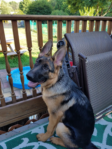 Pet Supply Store «Petsense Westerly», reviews and photos, 143 Franklin St, Westerly, RI 02891, USA