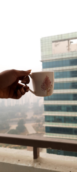 Google Maps image 14