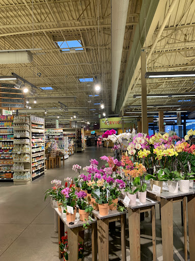 Grocery Store «Whole Foods Market», reviews and photos, 105 Stacy Rd, Fairview, TX 75069, USA