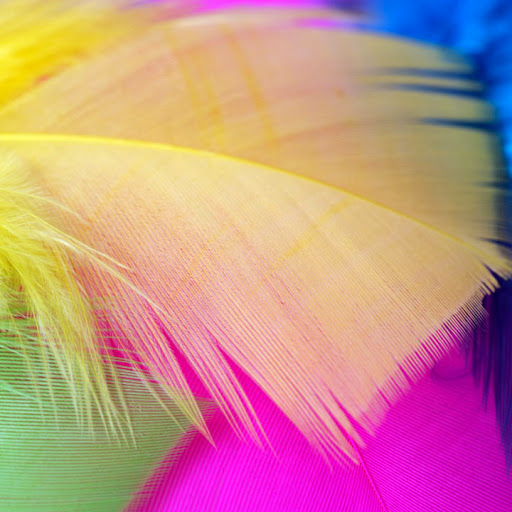 Craft Store «Factory Direct Craft», reviews and photos, 901 Pleasant Valley Dr, Springboro, OH 45066, USA