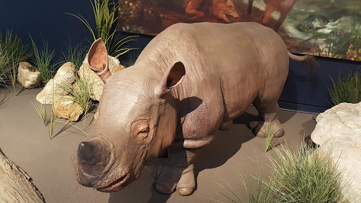 History Museum «Indiana State Museum», reviews and photos, 650 W Washington St, Indianapolis, IN 46204, USA