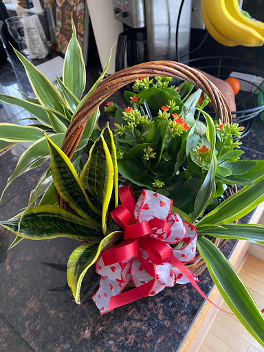 Florist «Francis Flowers, Inc.», reviews and photos, 78 Prospect St, Milford, MA 01757, USA