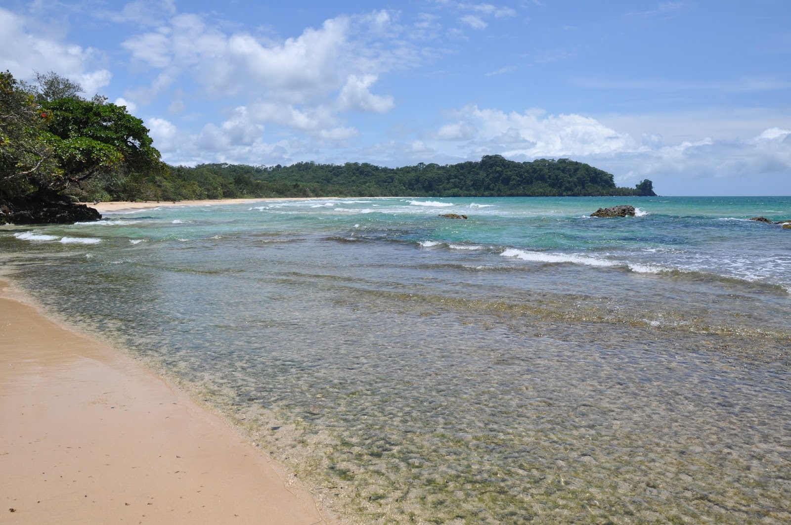 Wizard Beach'in fotoğrafı vahşi alan