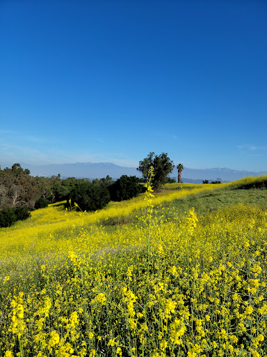 Park «Peter F. Schabarum Regional Park», reviews and photos, 17250 Colima Rd, Rowland Heights, CA 91748, USA