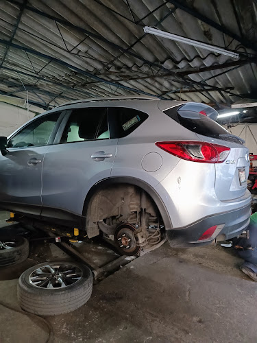 Frenosteca Brake