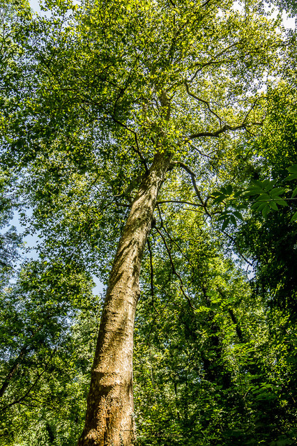 Photo n° 9 de l'avis de Jeremie.a fait le 09/10/2019 à 06:37