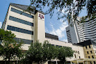 Texas A&M College Of Dentistry