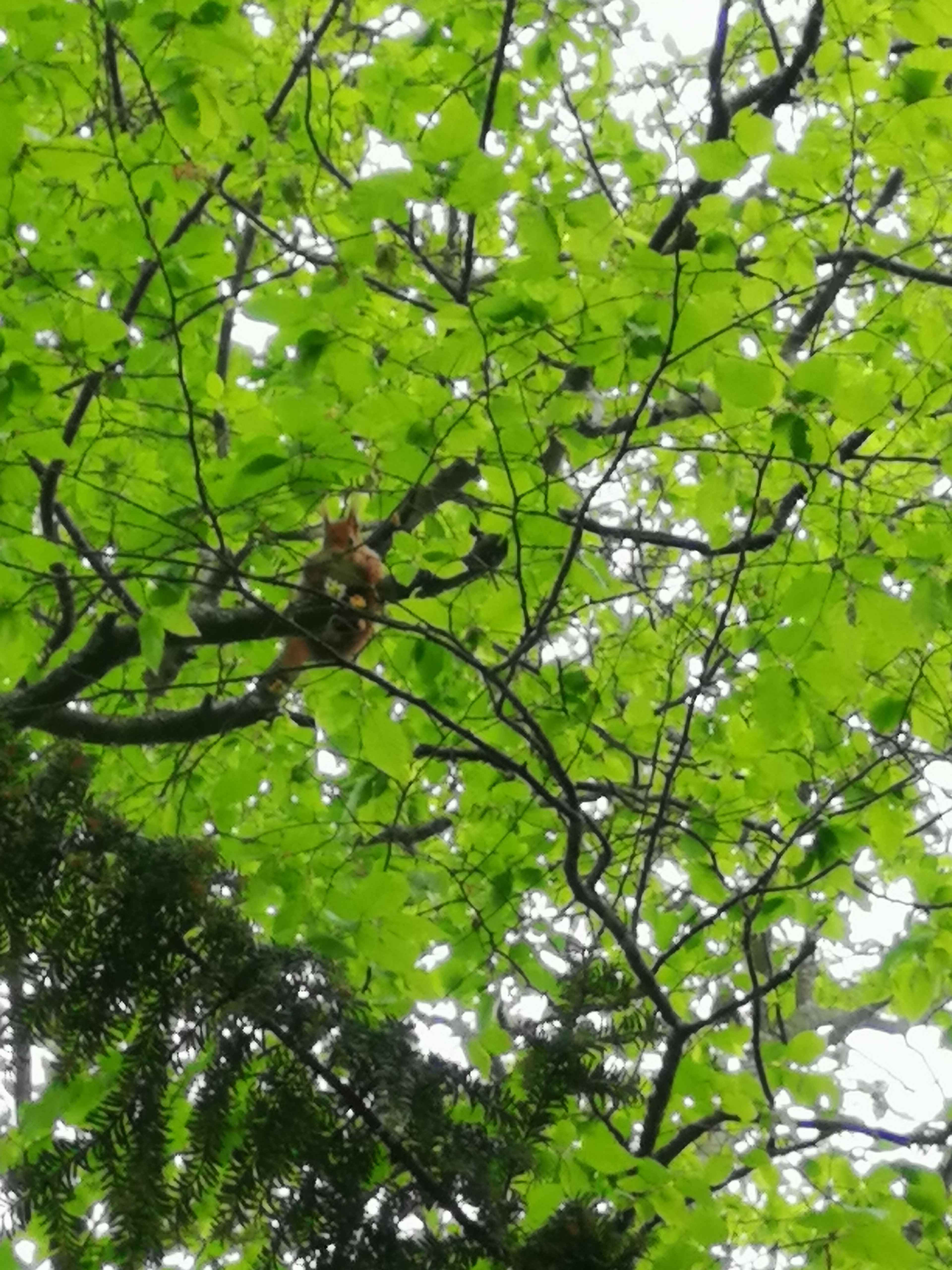 Photo n° 2 de l'avis de Eric.l fait le 21/04/2019 à 18:26