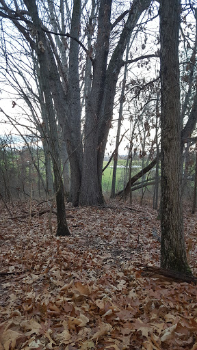 Golf Course «Fox Hollow Golf Club», reviews and photos, 59 Fox Chase Run, Branchburg, NJ 08876, USA