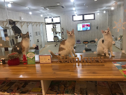 猫カフェ にゃんくる 蒲田店