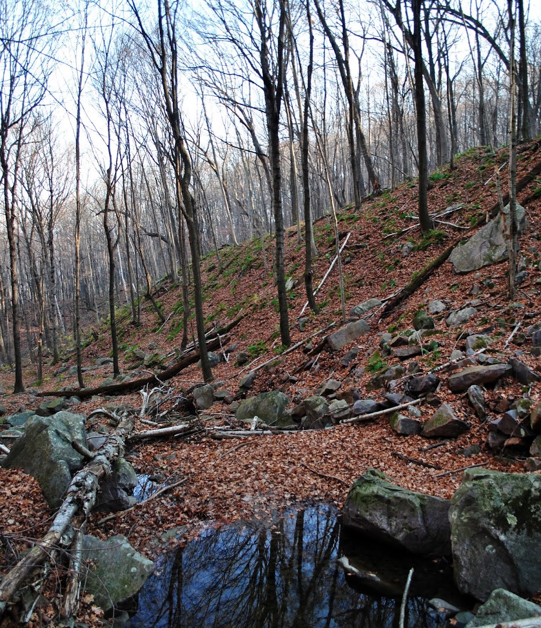 South Bluff Devils Nose State Natural Area