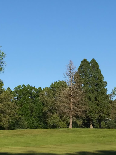 Golf Course «Pine View Golf Club», reviews and photos, Pulver Rd, Three Rivers, MI 49093, USA