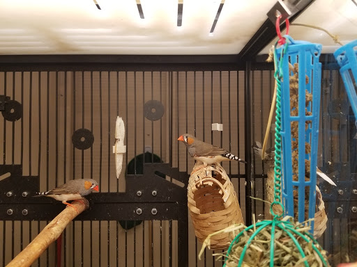 Pet Supply Store «PetSmart», reviews and photos, 6100 Arlington Blvd, Falls Church, VA 22044, USA