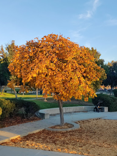 Emerald Glen Park image