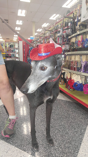 Pet Supply Store «Petco Animal Supplies», reviews and photos, 1835 E Guadalupe Rd #112, Tempe, AZ 85283, USA