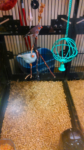 Pet Supply Store «PetSmart», reviews and photos, 2828 Campus Pkwy, Riverside, CA 92507, USA