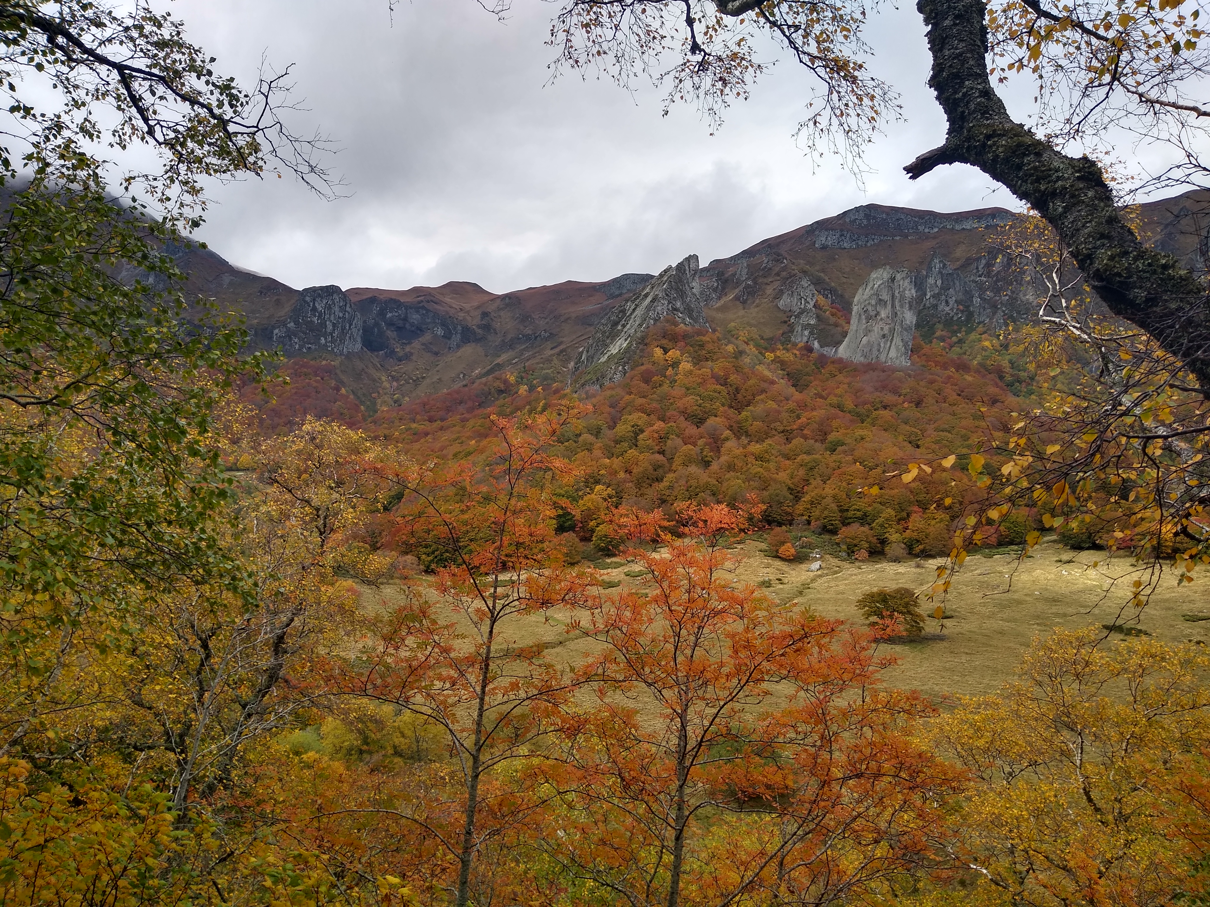 Photo n° 7 de l'avis de Dirk.l fait le 27/11/2019 à 09:44