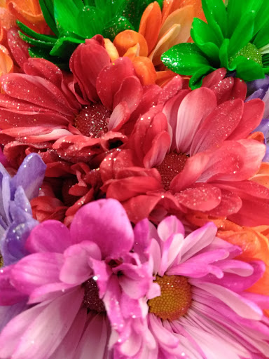 Grocery Store «Albertsons», reviews and photos, 441 N Val Vista Village Mhp, Mesa, AZ 85213, USA